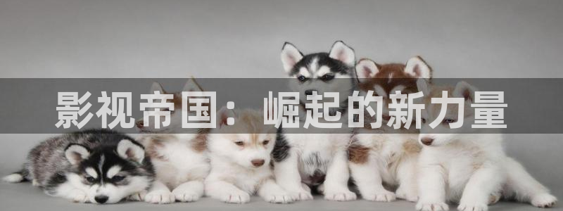 秋霞伦理影院在线