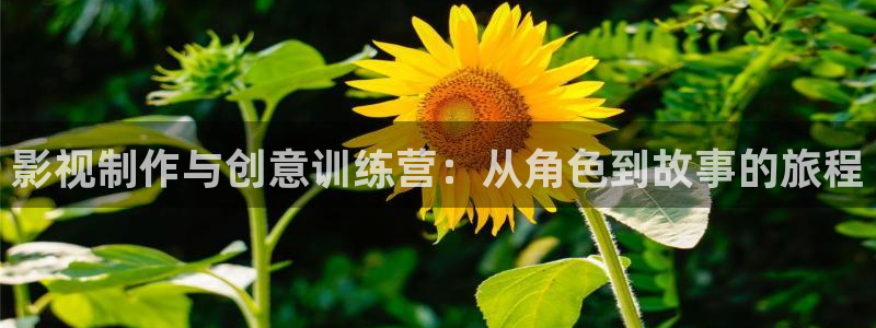 秋霞电影久久