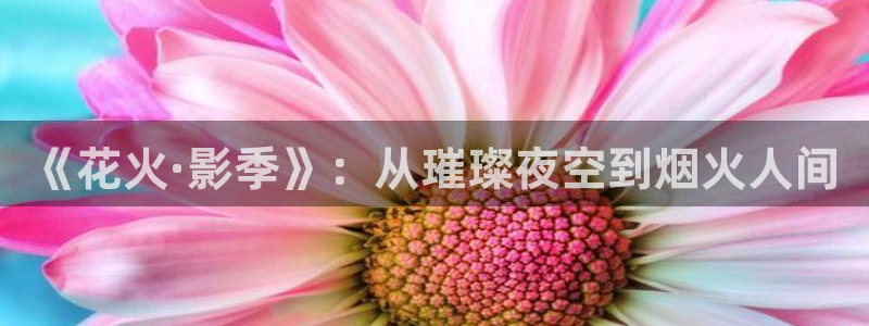 秋霞伦理影视大全