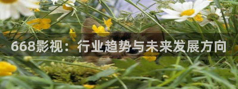 秋霞电影网一区二区三区