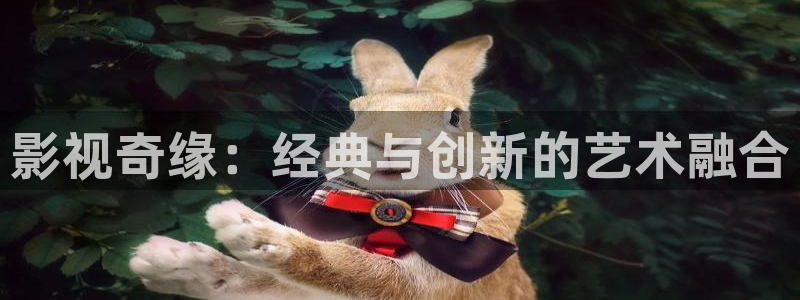 秋霞论理免费电影
