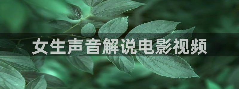 秋霞视频在线观看视频