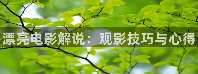秋霞成人午夜在线