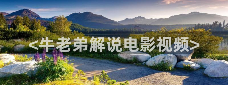 秋霞视频在线播放观看