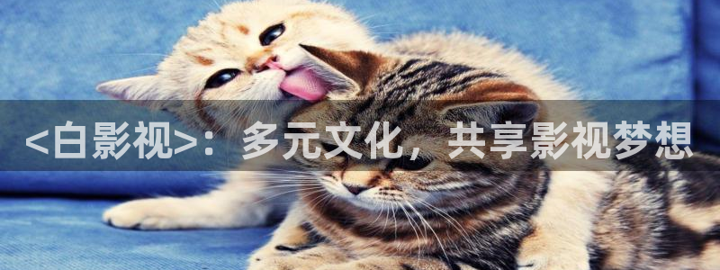 秋霞网韩国理伦片免费看