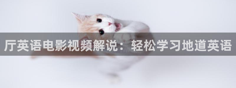 秋霞手机不卡电影网