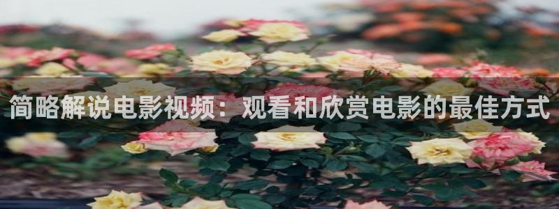 秋霞电影电视剧