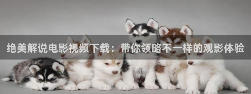 秋霞色网站