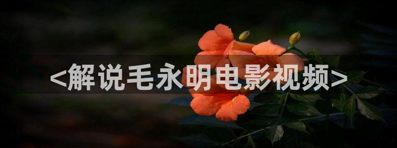 秋霞www