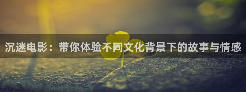 秋霞火豆电影网