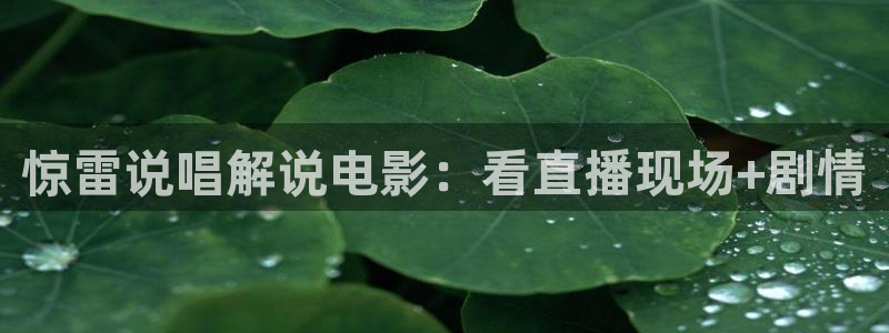 秋霞仑里片