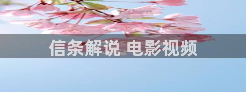 秋霞电影网看片资源