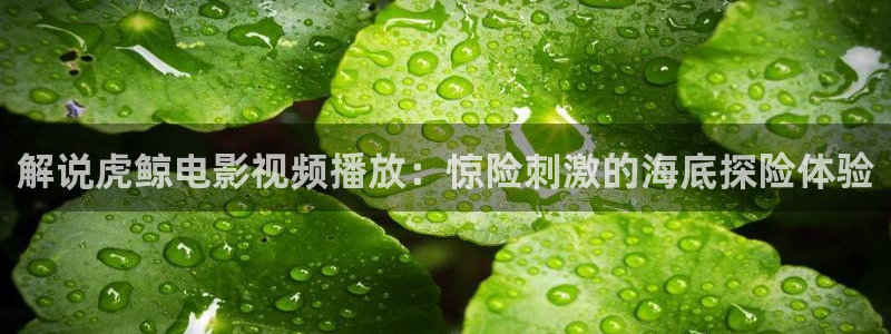 秋霞神马网