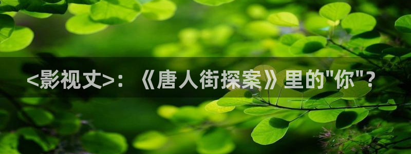 秋霞伦网