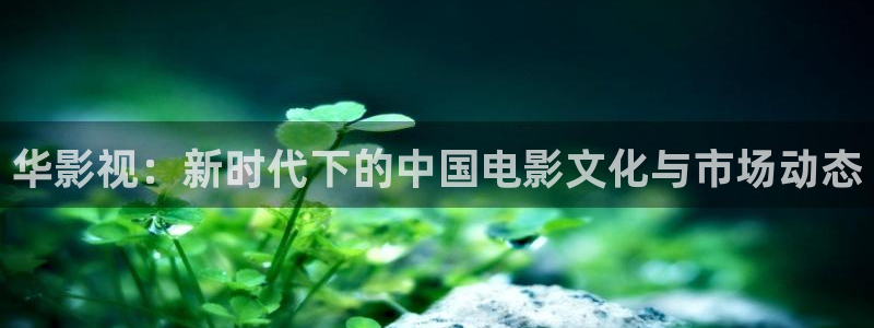 伦理网秋霞：华影视：新时代下的中国电影文化与市场动态