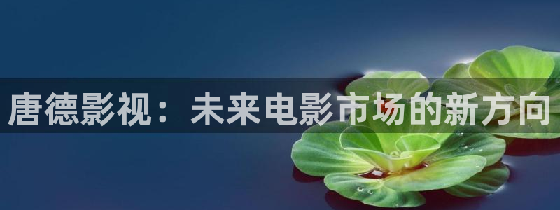 717神马秋霞good影院：唐德影视：未来电影市场的新方向