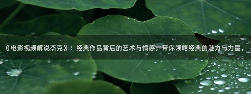 秋霞电影网午夜片：《电影视频解说杰克》：经典作品背后的艺术与情感，带你领略经典的魅力与力量。