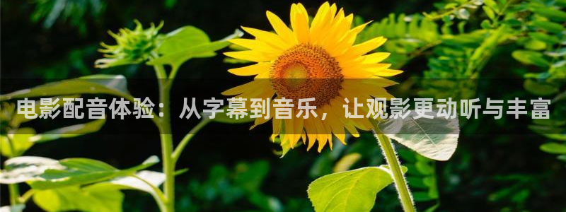 神马不卡影院秋霞影院：电影配音体验：从字幕到音乐，让观影更动听与丰富
