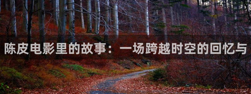 秋霞快播电影：陈皮电影里的故事：一场跨越时空的回忆与