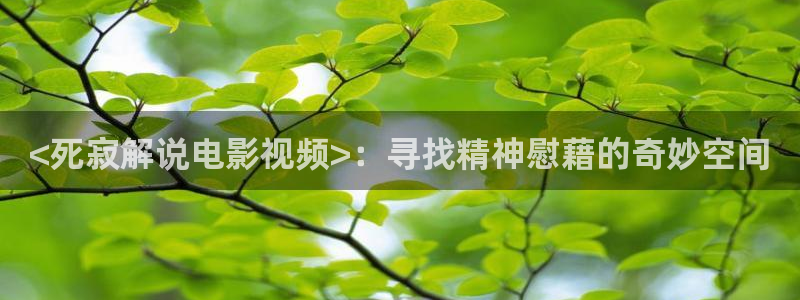 秋霞仑理片：<死寂解说电影视频>：寻找精神慰藉的奇妙空间